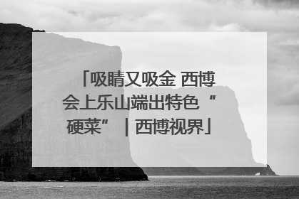 吸睛又吸金 西博会上乐山端出特色“硬菜”｜西博视界