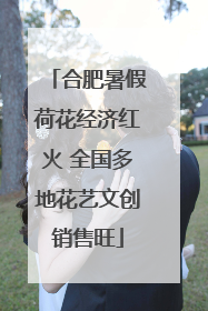 合肥暑假荷花经济红火 全国多地花艺文创销售旺