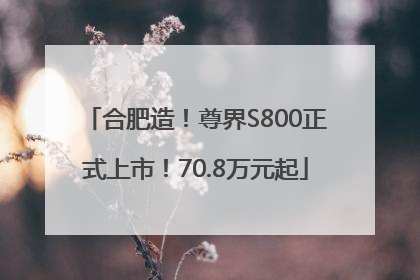 合肥造！尊界S800正式上市！70.8万元起