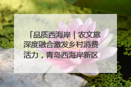 品质西海岸｜农文旅深度融合激发乡村消费活力，青岛西海岸新区的乡村振兴实践
