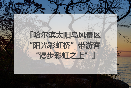 哈尔滨太阳岛风景区“阳光彩虹桥”带游客“漫步彩虹之上”