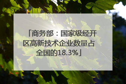 商务部：国家级经开区高新技术企业数量占全国的18.3%