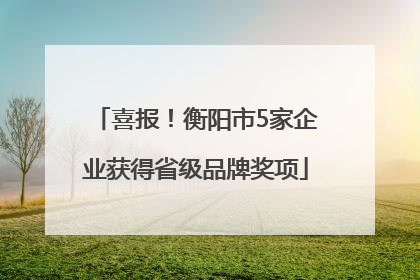 喜报！衡阳市5家企业获得省级品牌奖项