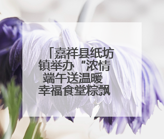 嘉祥县纸坊镇举办“浓情端午送温暖 幸福食堂粽飘香”主题文明实践活动