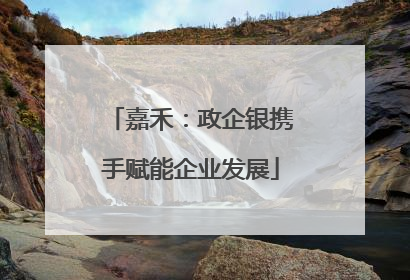 嘉禾：政企银携手赋能企业发展