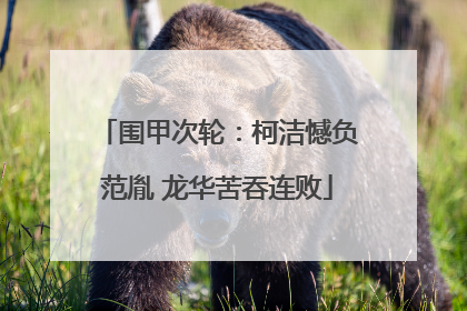 围甲次轮：柯洁憾负范胤 龙华苦吞连败