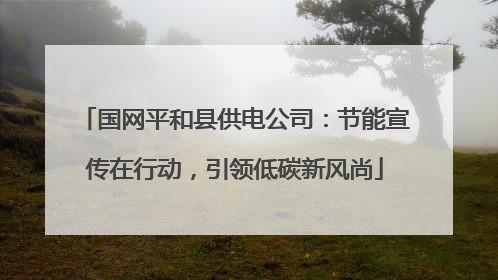 国网平和县供电公司：节能宣传在行动，引领低碳新风尚