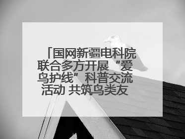 国网新疆电科院联合多方开展“爱鸟护线”科普交流活动 共筑鸟类友好城市