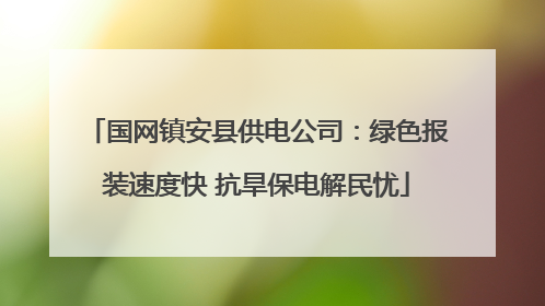 国网镇安县供电公司：绿色报装速度快 抗旱保电解民忧