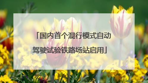 国内首个混行模式自动驾驶试验铁路场站启用