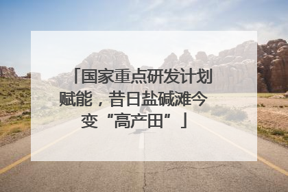 国家重点研发计划赋能，昔日盐碱滩今变“高产田”