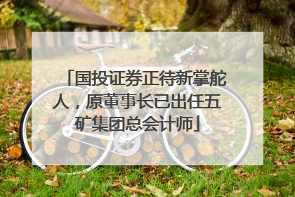 国投证券正待新掌舵人，原董事长已出任五矿集团总会计师