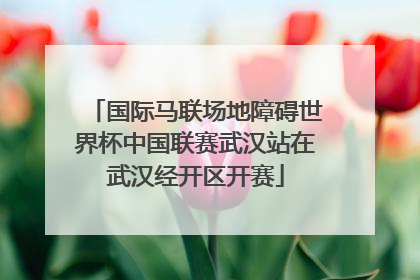 国际马联场地障碍世界杯中国联赛武汉站在武汉经开区开赛