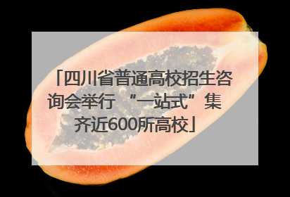 四川省普通高校招生咨询会举行 “一站式”集齐近600所高校