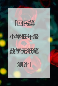 回民第一小学低年级数学无纸笔测评