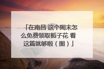 在南昌 这个周末怎么免费领取栀子花 看这篇就够啦（图）