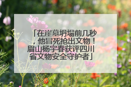 在崖墓坍塌前几秒，他冒死抢出文物！眉山杨宇春获评四川省文物安全守护者
