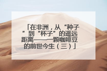 在非洲，从“种子”到“杯子”的遥远距离——一颗咖啡豆的前世今生（三）