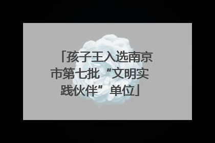 孩子王入选南京市第七批“文明实践伙伴”单位