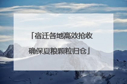 宿迁各地高效抢收 确保夏粮颗粒归仓