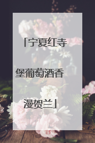 宁夏红寺堡葡萄酒香漫贺兰
