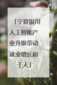宁夏银川人工智能产业升级带动就业增长超千人
