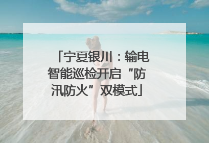 宁夏银川：输电智能巡检开启“防汛防火”双模式