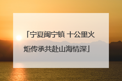 宁夏闽宁镇 十公里火炬传承共赴山海情深