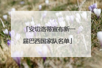 安切洛蒂宣布新一届巴西国家队名单