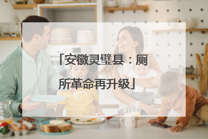 安徽灵璧县：厕所革命再升级