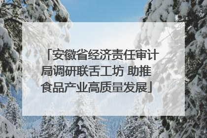安徽省经济责任审计局调研联舌工坊 助推食品产业高质量发展