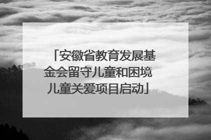 安徽省教育发展基金会留守儿童和困境儿童关爱项目启动