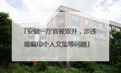 安徽一厅官被双开，涉违规编印个人文集等问题