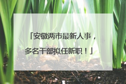 安徽两市最新人事，多名干部拟任新职！