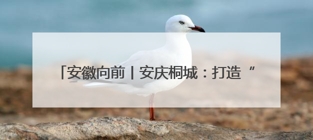 安徽向前丨安庆桐城：打造“锌”引擎 绘就“锌”图景