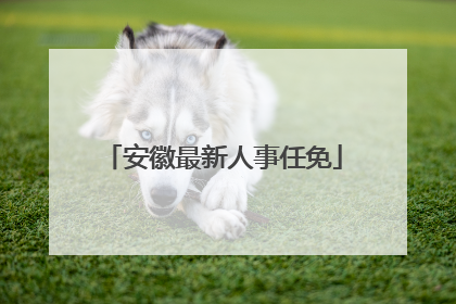 安徽最新人事任免