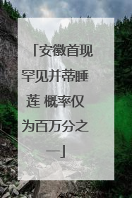 安徽首现罕见并蒂睡莲 概率仅为百万分之一