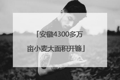 安徽4300多万亩小麦大面积开镰