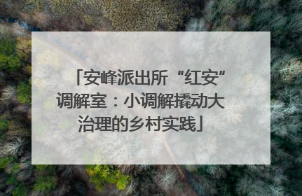 安峰派出所“红安”调解室：小调解撬动大治理的乡村实践
