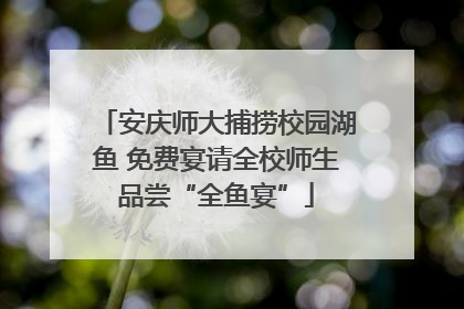 安庆师大捕捞校园湖鱼 免费宴请全校师生品尝“全鱼宴”