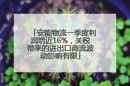 安能物流一季度利润增近16%，关税带来的进出口商流波动影响有限
