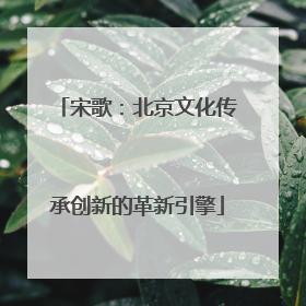 宋歌：北京文化传承创新的革新引擎
