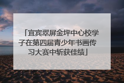 宜宾翠屏金坪中心校学子在第四届青少年书画传习大赛中斩获佳绩