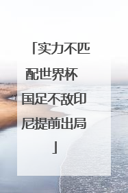 实力不匹配世界杯 国足不敌印尼提前出局