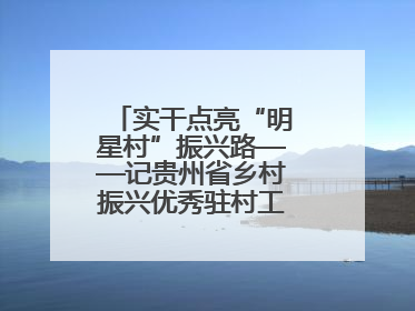 实干点亮“明星村”振兴路——记贵州省乡村振兴优秀驻村工作队员王培欢