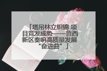 塔吊林立织锦 项目竞发成势——鲁西新区奏响高质量发展“奋进曲”