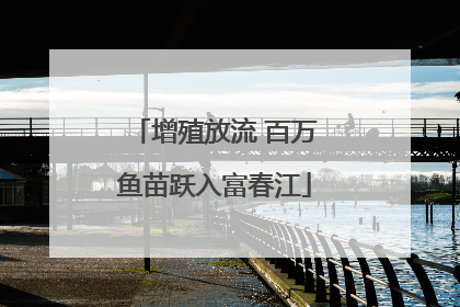 增殖放流 百万鱼苗跃入富春江