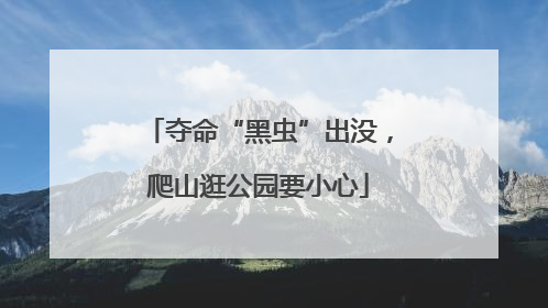 夺命“黑虫”出没，爬山逛公园要小心