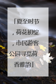 夏至时节，荷花初绽，市民游客公园寻觅荷香雅韵