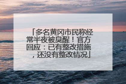 多名黄冈市民称经常半夜被臭醒！官方回应：已有整改措施，还没有整改情况
